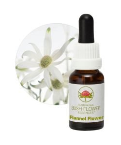 Flannel Flower, 15 ml